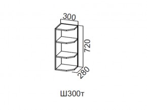 Ш300т/720 Шкаф навесной 300/720 (торцевой) в Нижних Сергах - nizhnie-sergi.magazin-mebel74.ru | фото