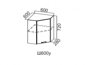 Ш600у/720 Шкаф навесной 600/720 (угловой) в Нижних Сергах - nizhnie-sergi.magazin-mebel74.ru | фото