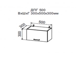 Шкаф верхний ДПГ500 горизонтальный в Нижних Сергах - nizhnie-sergi.magazin-mebel74.ru | фото