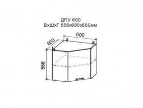 Шкаф верхний ДПУ600 угловой в Нижних Сергах - nizhnie-sergi.magazin-mebel74.ru | фото